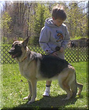 Junior_Handler_Devin_training